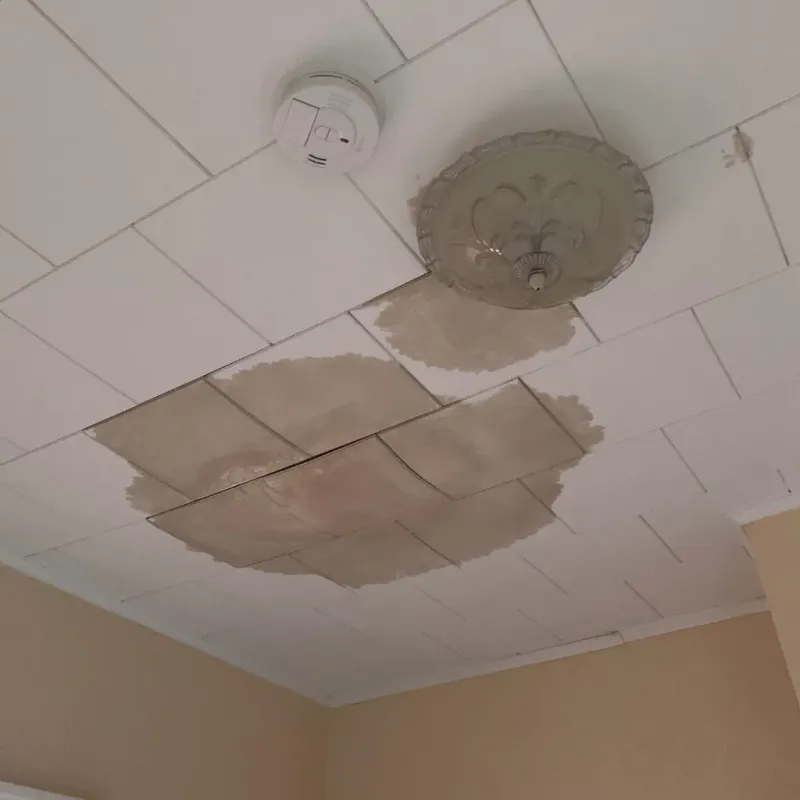 Ceiling Water Damage Repair in Port Gibson, MS