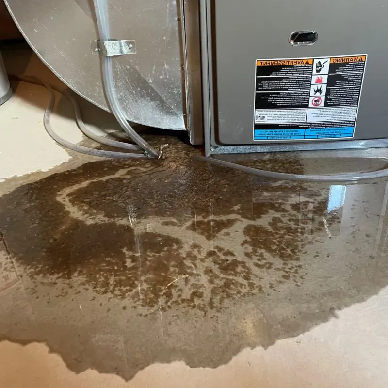 Pipe Burst and Leak Restoration in Port Gibson, MS