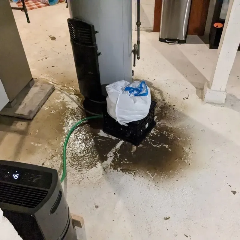 Sewage Backup Cleanup Service in Port Gibson, MS